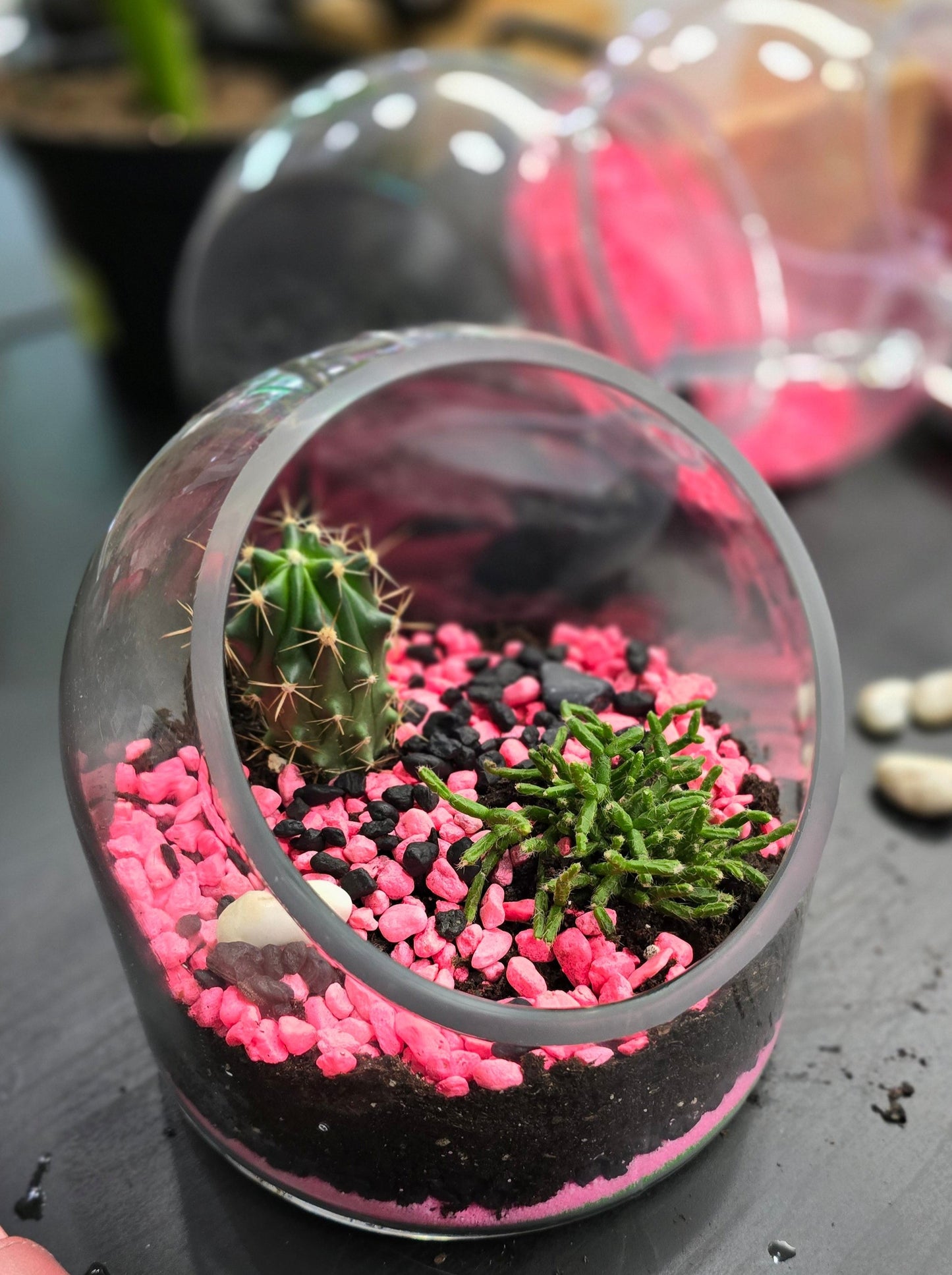 Mobile Terrarium Building