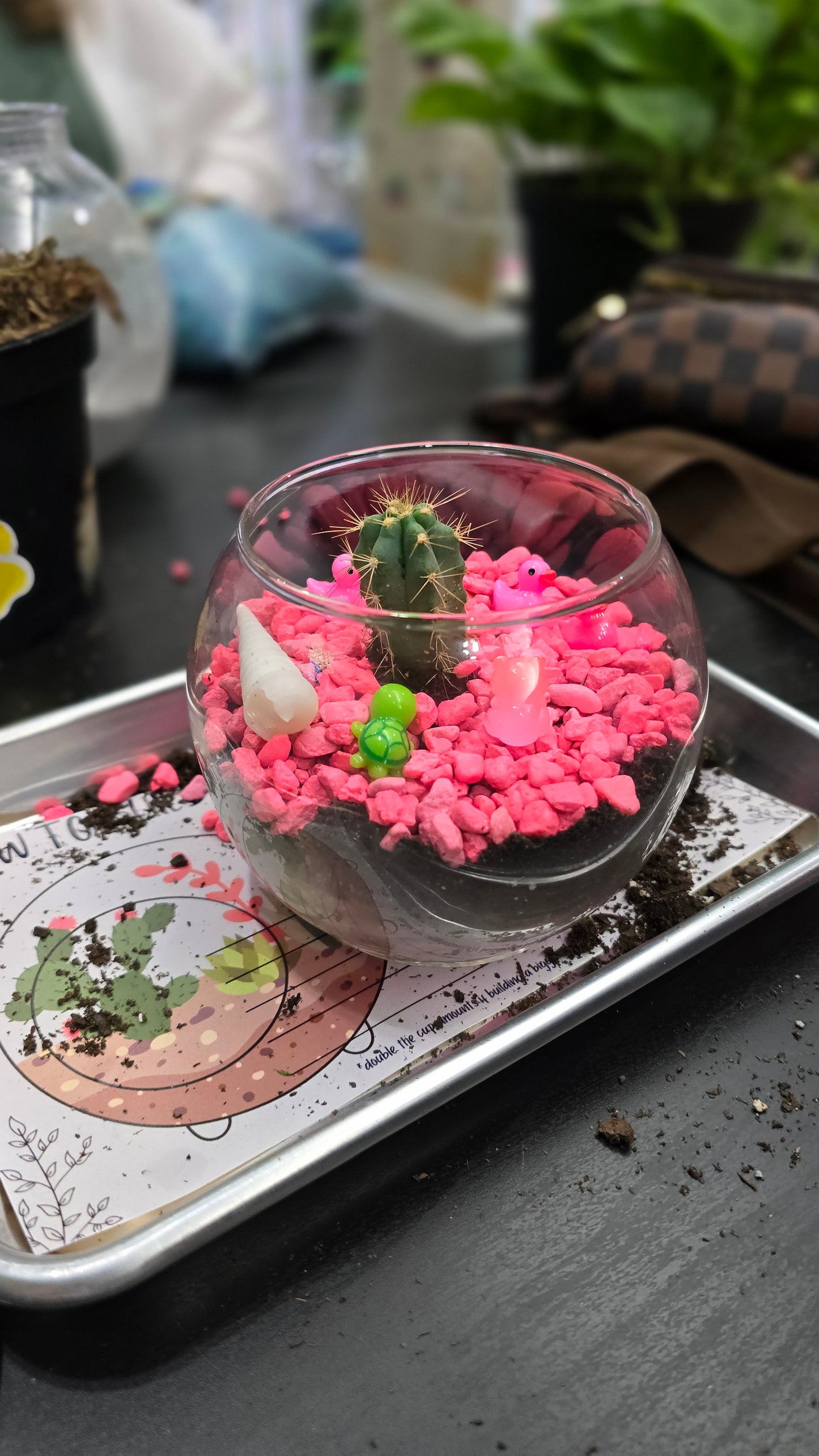 Terrarium Building