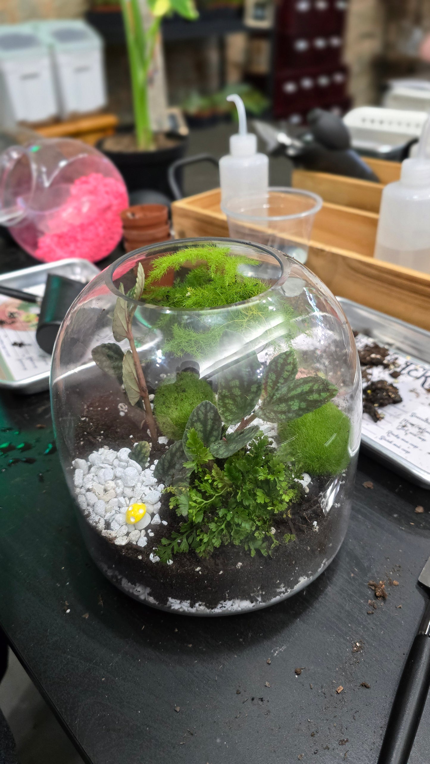 Terrarium Building