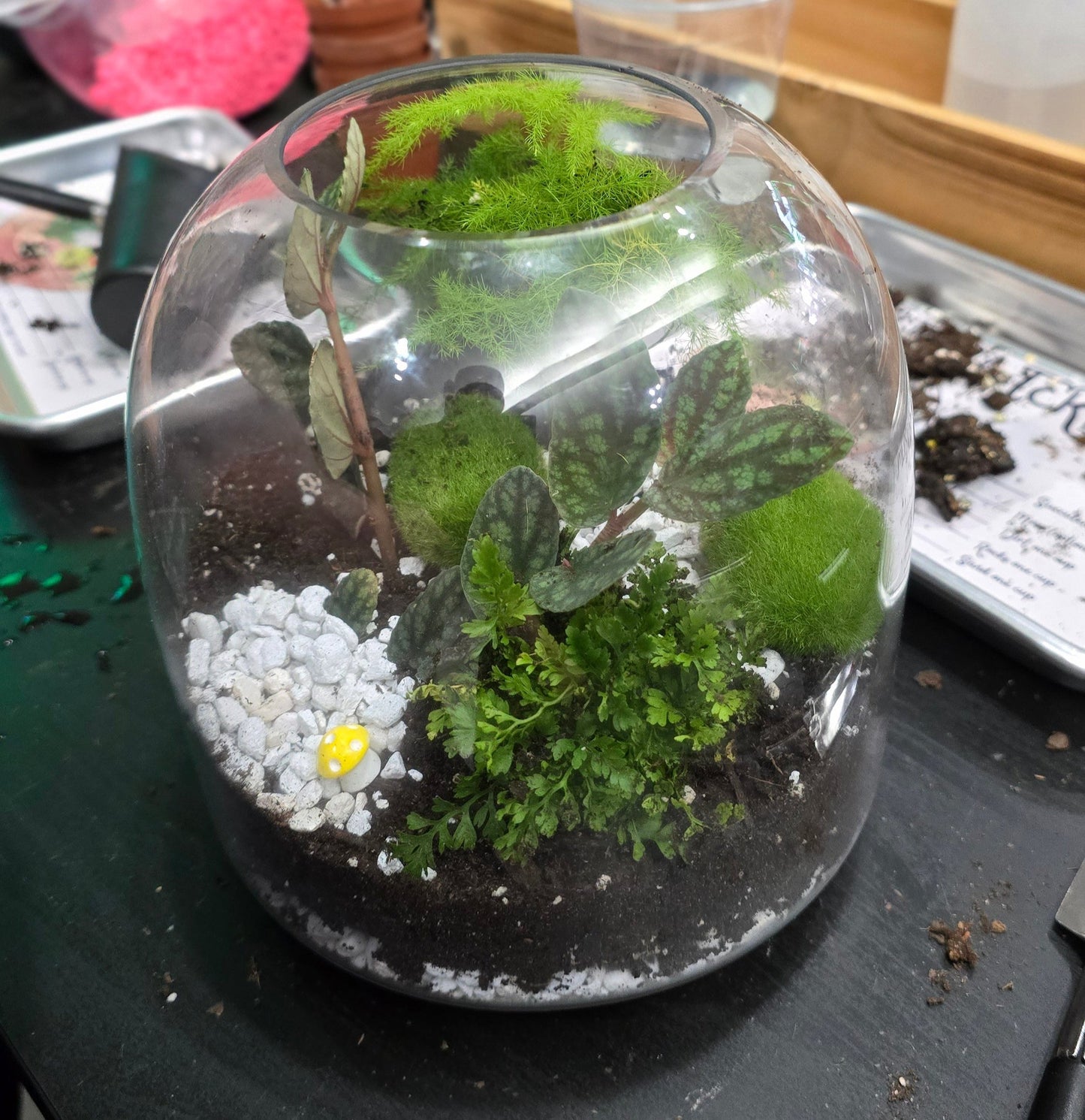 Mobile Terrarium Building