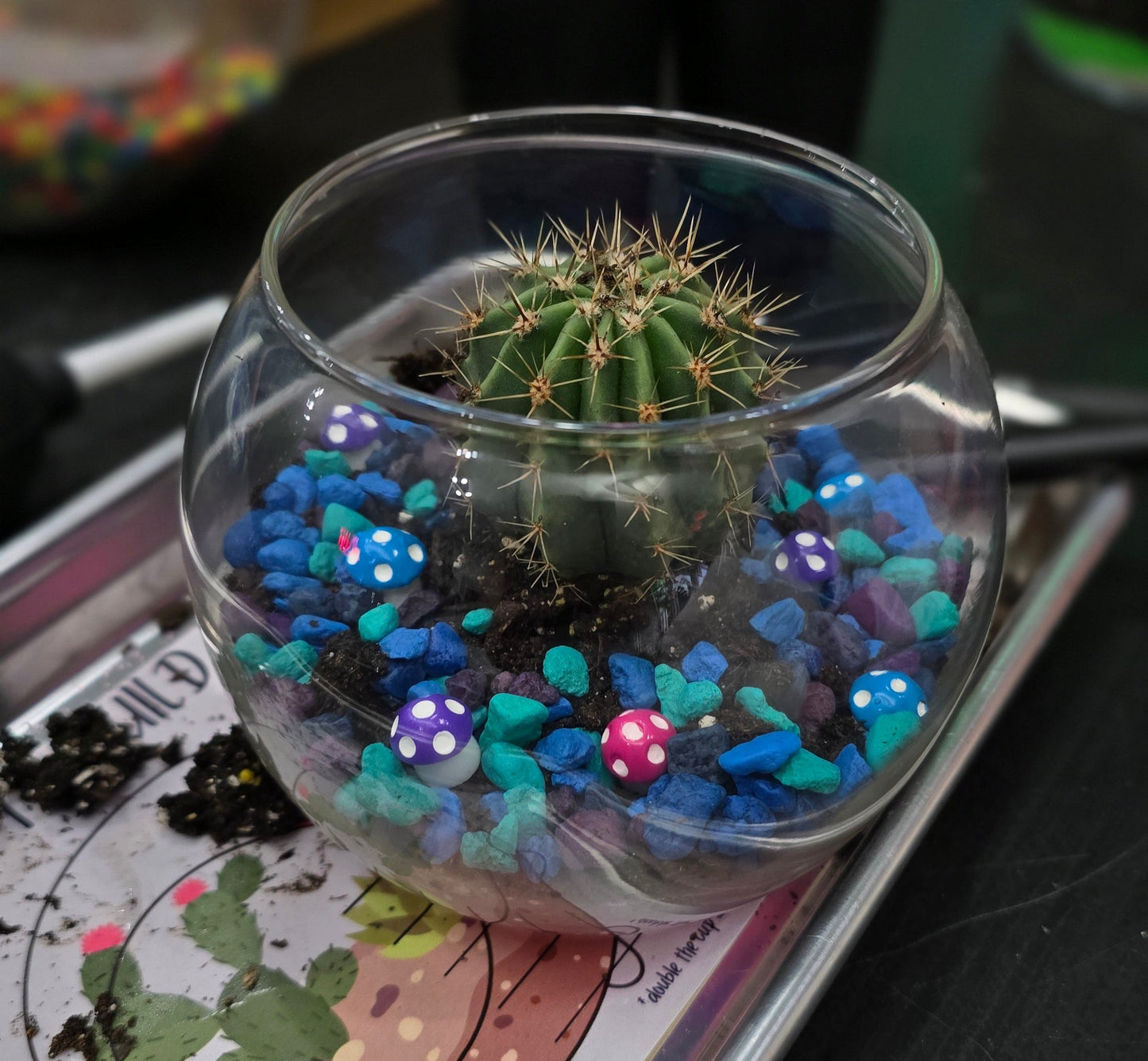 Mobile Terrarium Building