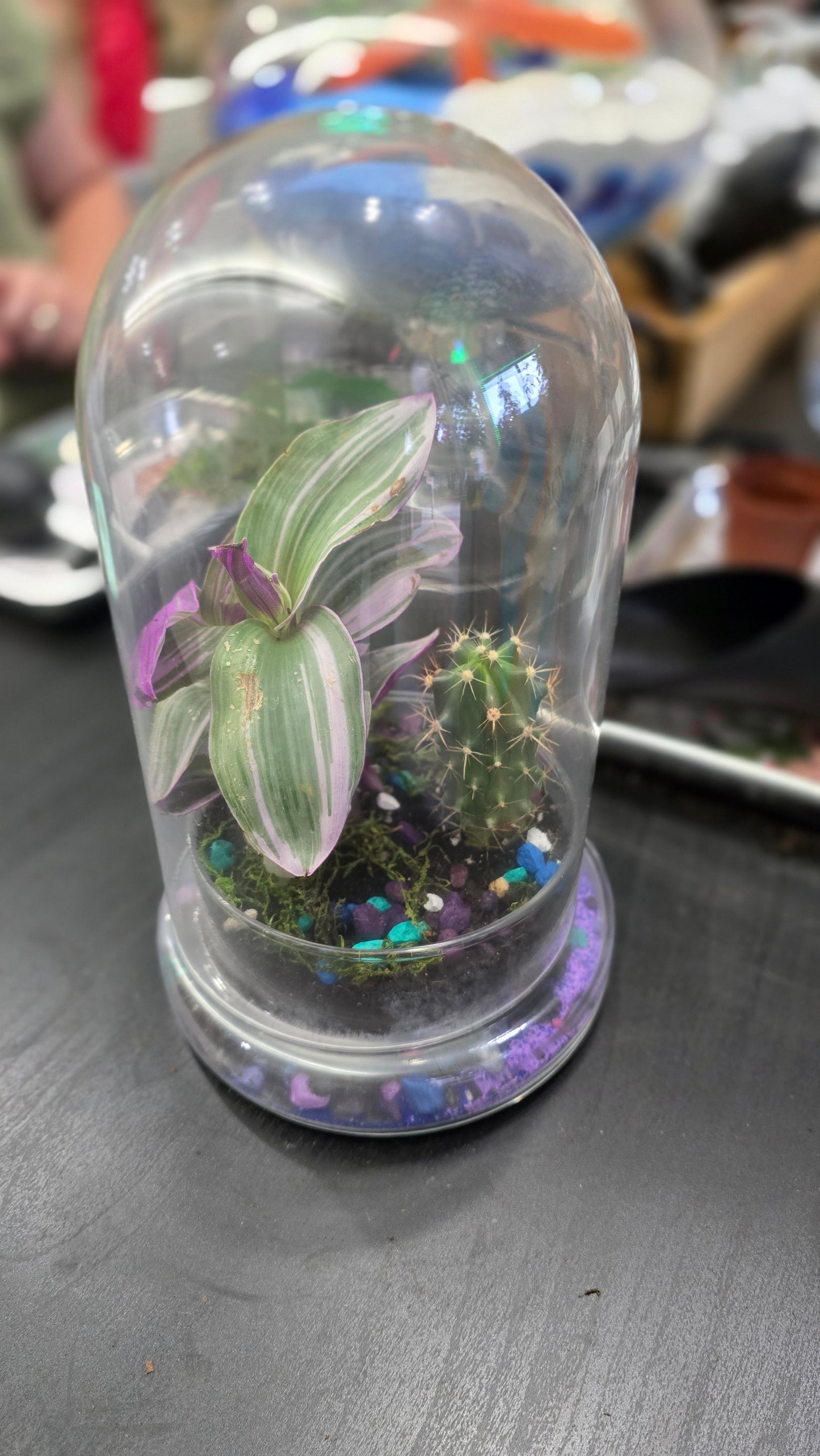 Terrarium Building
