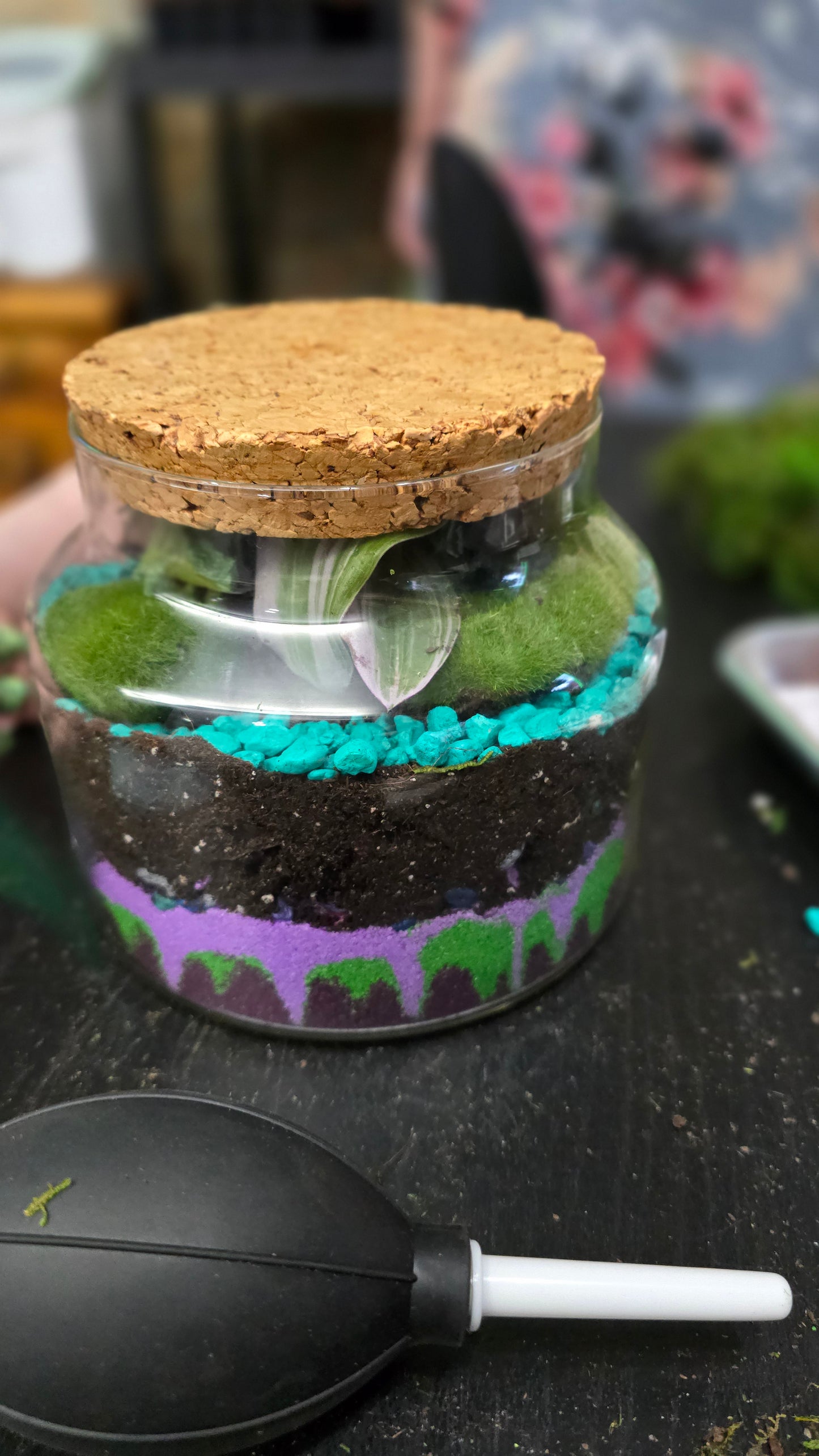 Terrarium Building