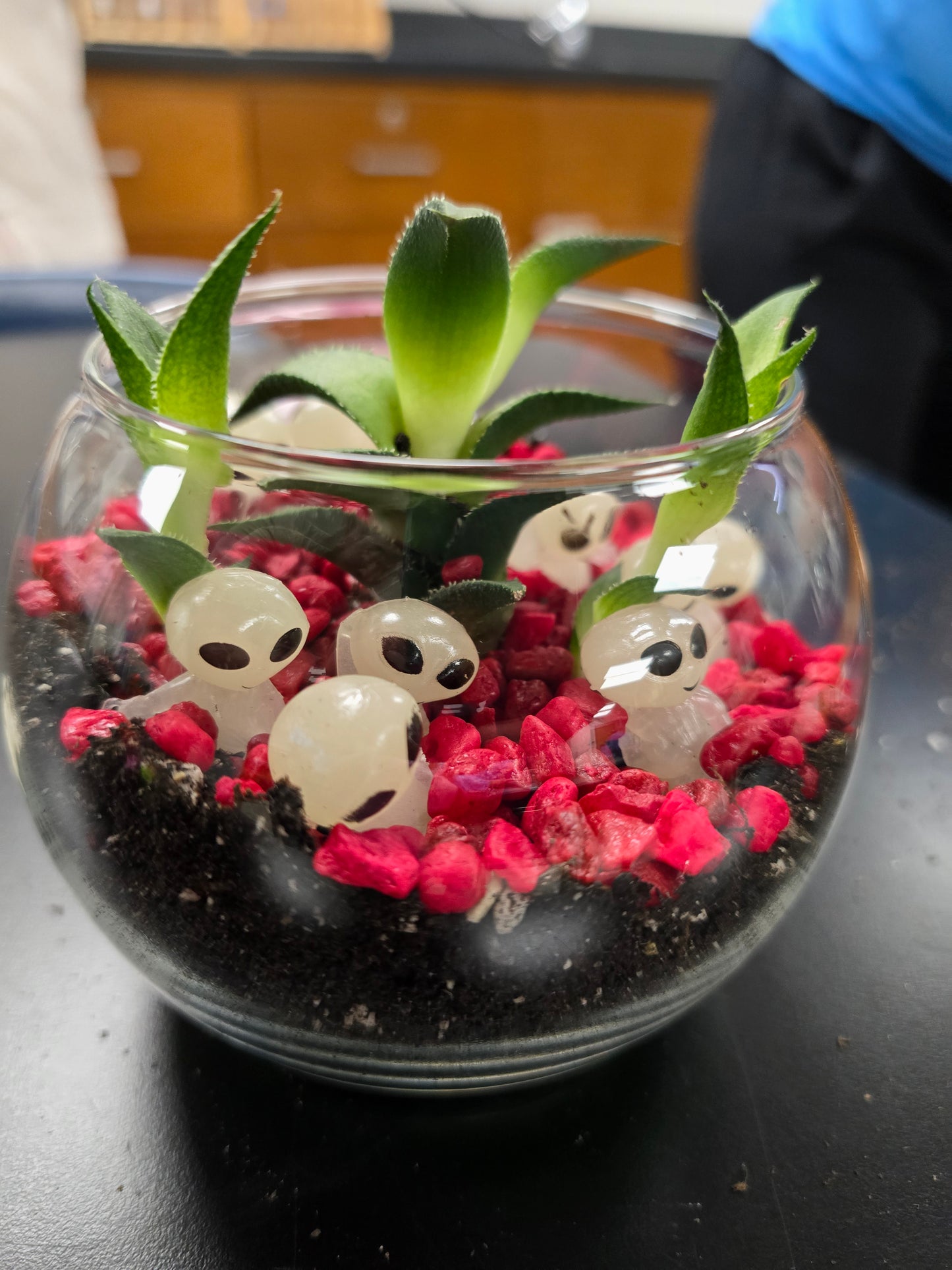 Terrarium Building