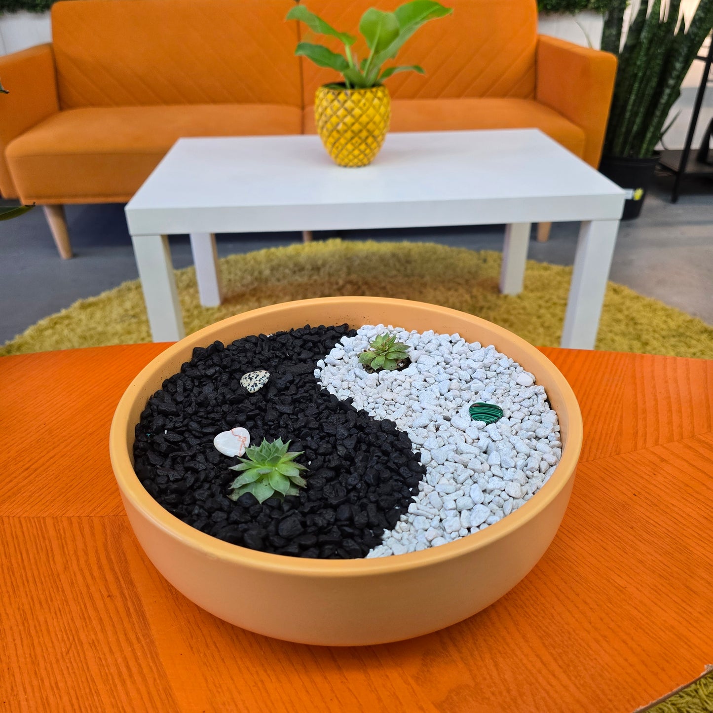 Find your Zen Planter - 01/11/25 6:00pm