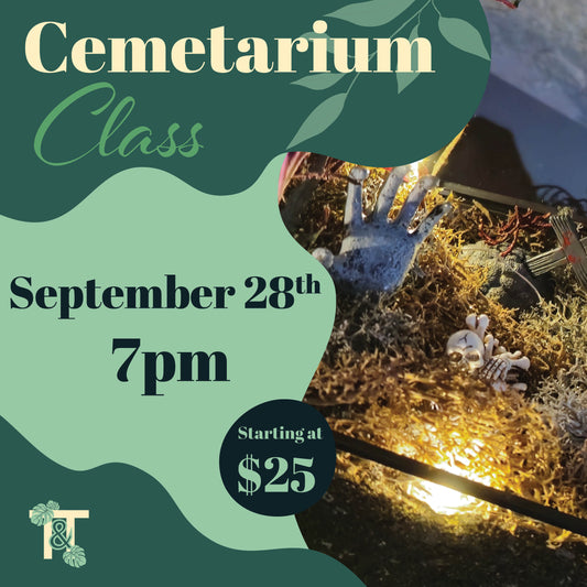 Cemetarium Class: Create Your Own Cemetery Terrarium- 9/28/24 @ 7pm